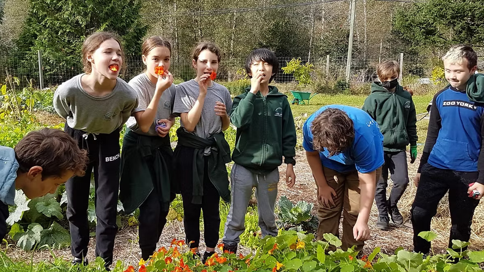 Community engagement