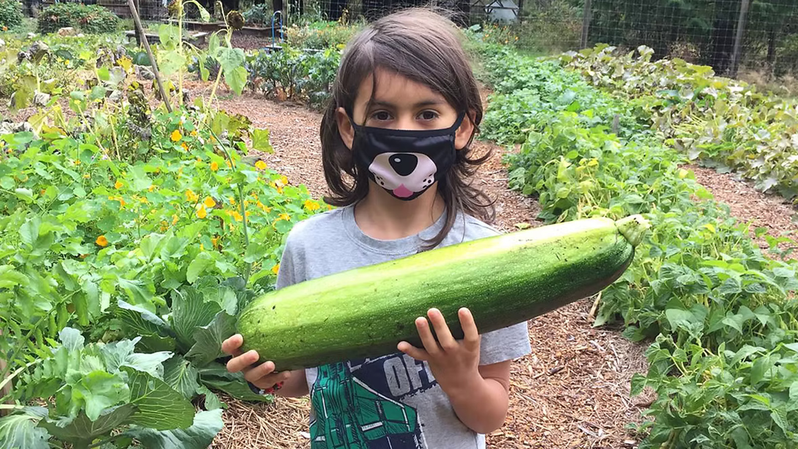 Zucchini boy